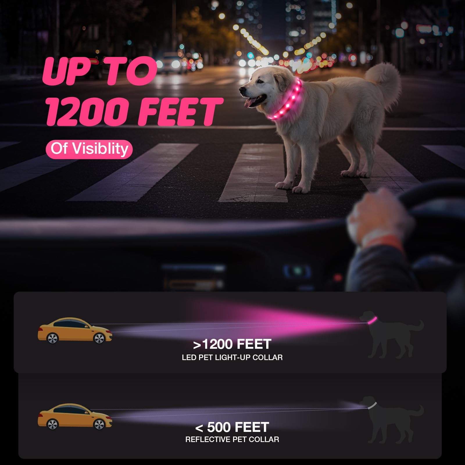 CAWJUG Light up Dog Collar, Rechargeable LED Dog Collar with 3 Glowing Modes - Image 2