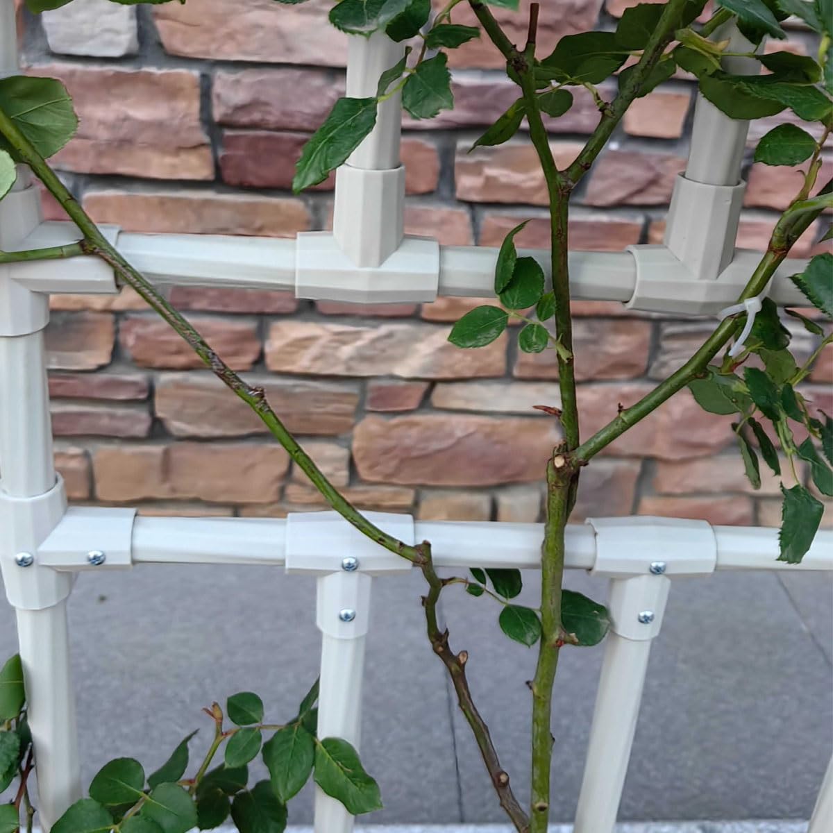Metalowy łuk ogrodowy pnącza pergola, stojak na winnice warzywa, ozdobny pawilon ślubny, 260 cm x 27 cm, biały
