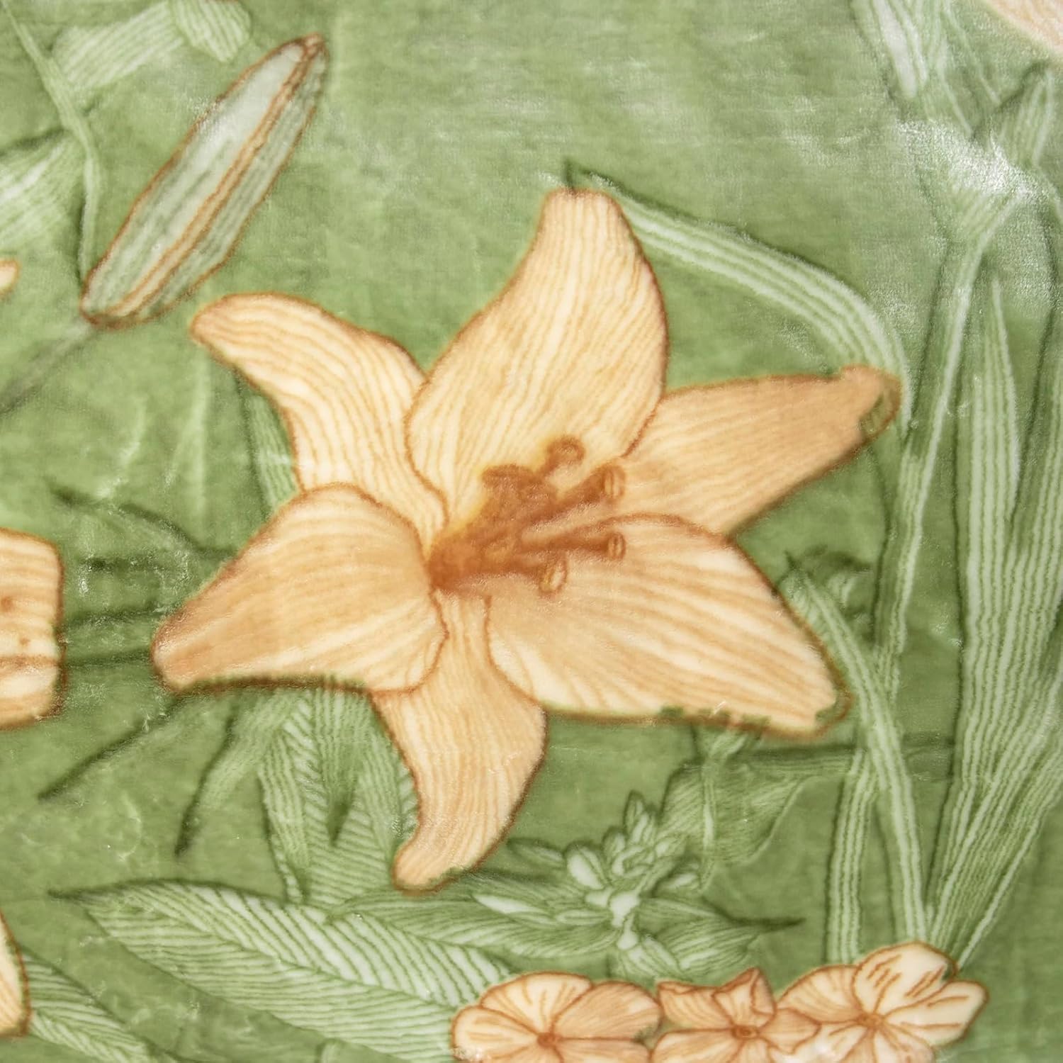 Thick Winter Fleece ​Blanket 70 x 85 inch Korean Mink Throws Blanket for Bed,Silky Soft and Warm,2 Ply Reversible Raschel Bed Blankets,Green,180X220cm 6LB/3kg.