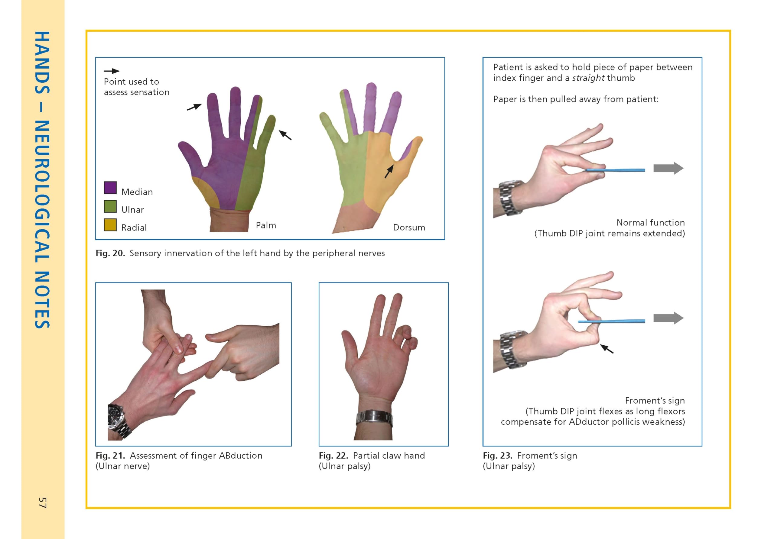 Essential Examination, fourth edition: Step-by-step guides to clinical examination scenarios with practical tips and key facts for OSCEs