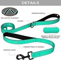 Vista 3 de Joytale - Correa resistente para perros grandes que tiran, doble asa para control de tráfico, correas reflectantes de doble cara para perros grandes