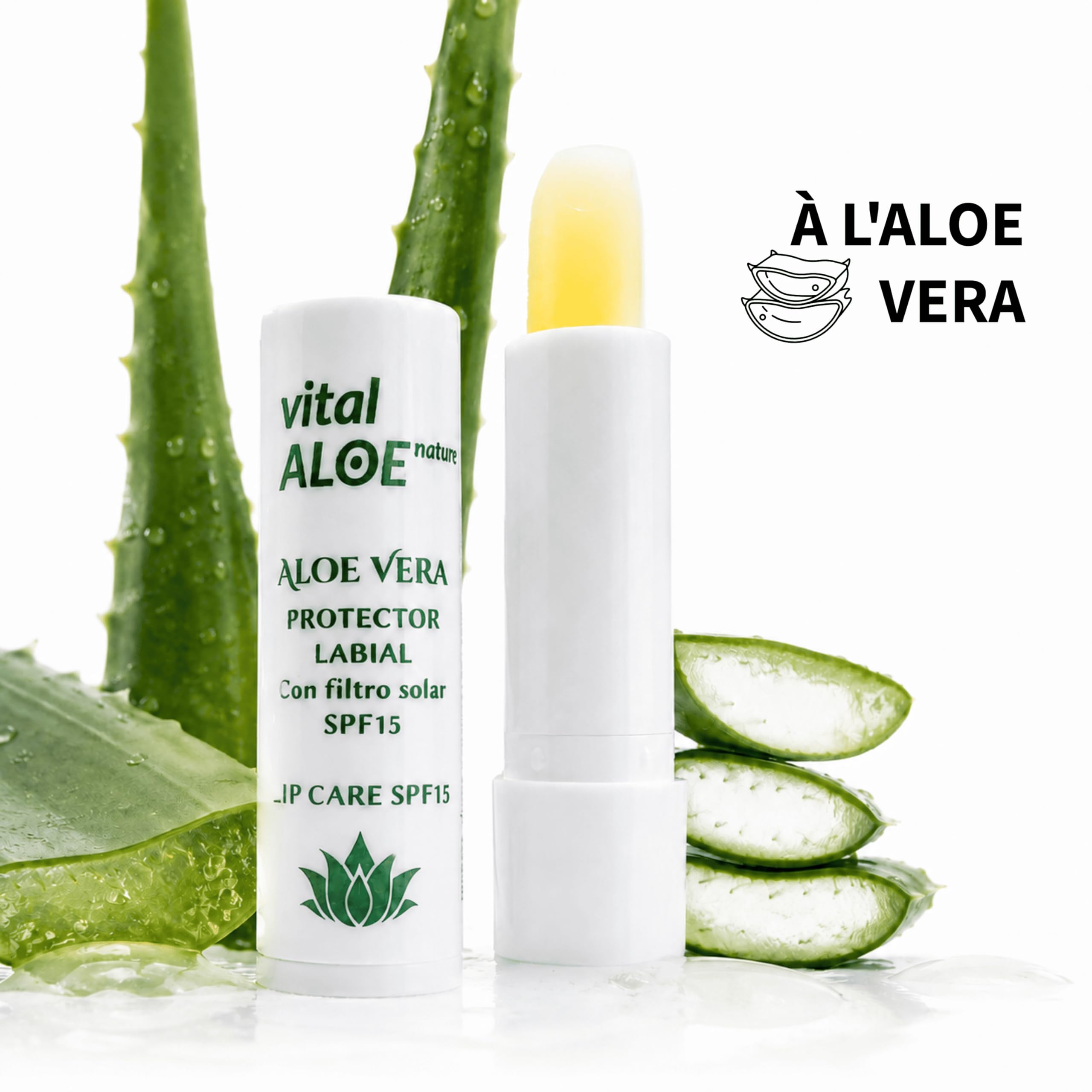 Baume à Lèvres Aloe Vera SPF 15 | 5 unités | Stick Lèvres Hydratant avec Filtre Solaire | Soin Quotidien pour Lèvres Sèches | Texture Douce Non Collante | Idéal Été et Hiver