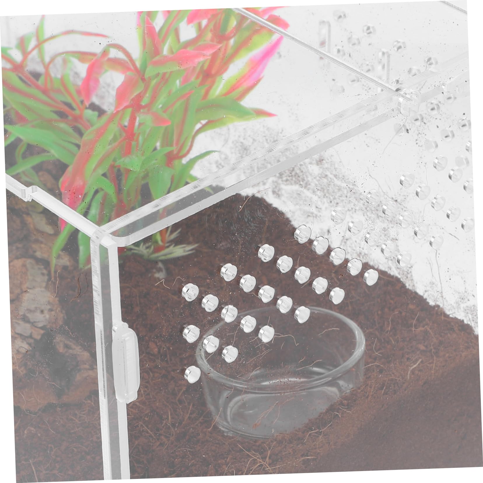 SOIMISS Reptilien Terrarium Transparente Aufzuchtbox für Frösche und Kleine Reptilien Belüftete Terrarienbox mit Teiligem Zubehör