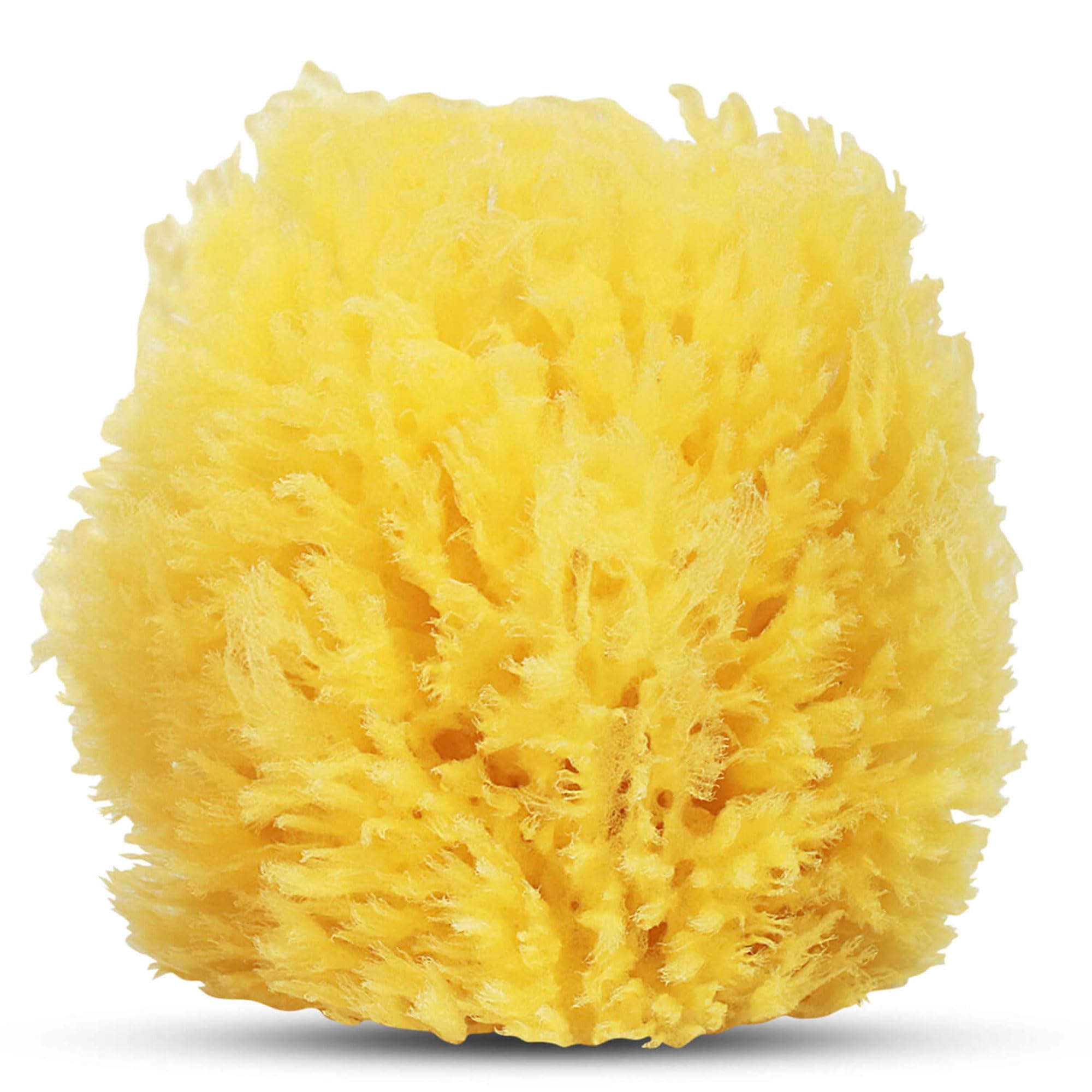 HartFelt Facial Sponge - Exfoliate & Remove Makeup -26 HartFelt Facial Sponge - Exfoliate & Remove Makeup -26
