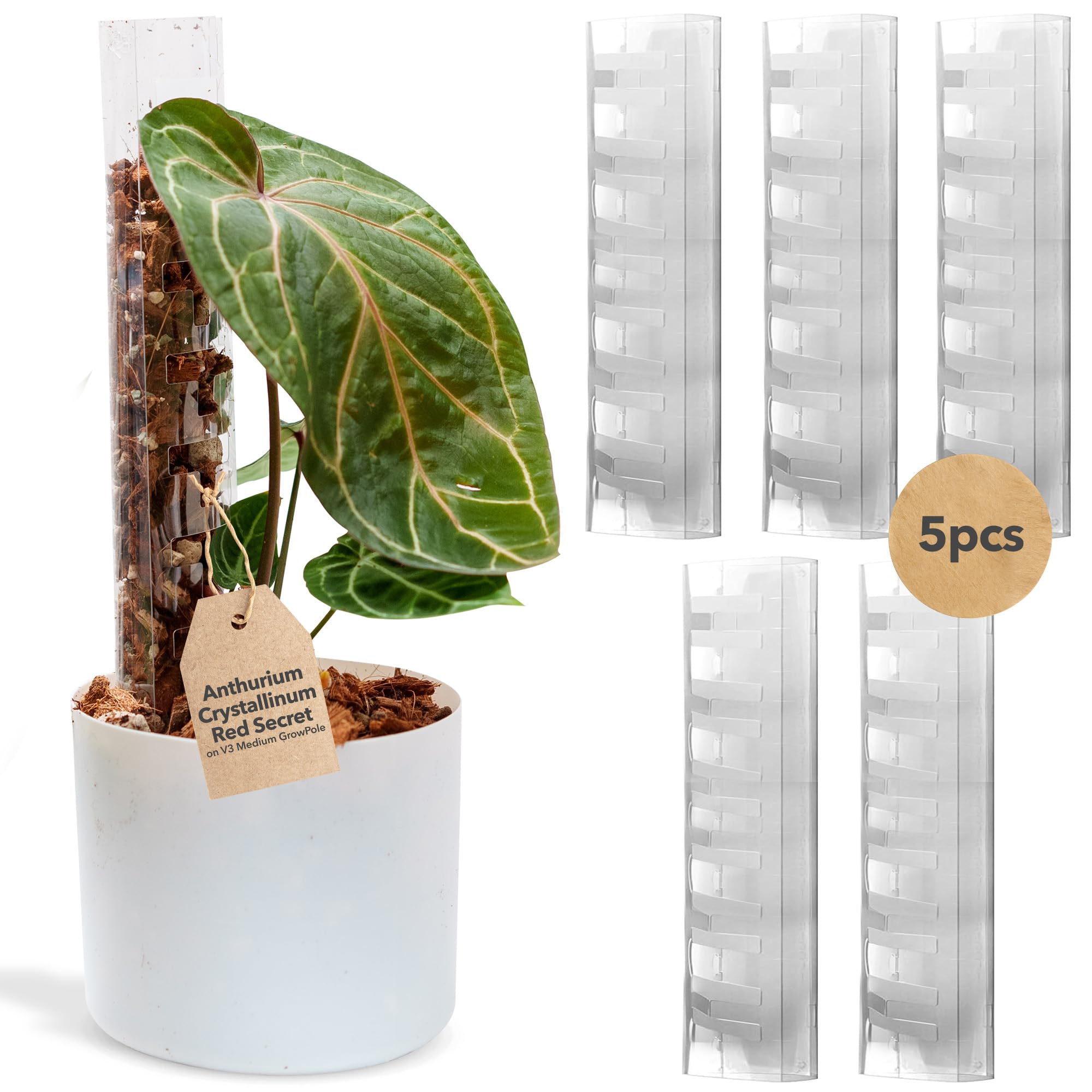 Amazon | THICCLY V3 GrowPole Medium 5本セット - 前面開閉式