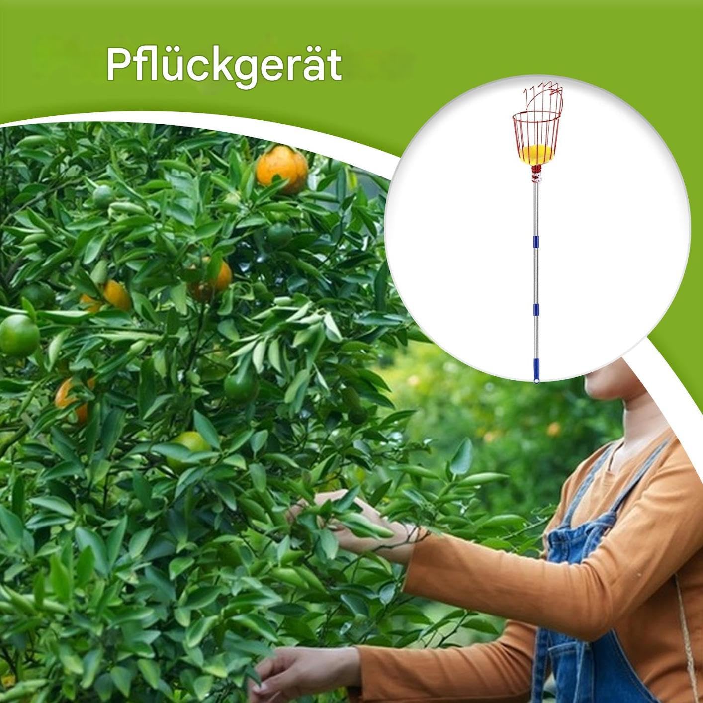 Perche Cueille-Fruits Télescopique Avec Panier Portable