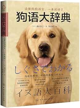 超之謙字典 612MZ3vC6XL.jpg