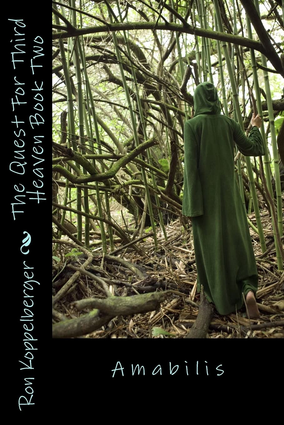 The Quest For Third Heaven Book Two: Amabilis