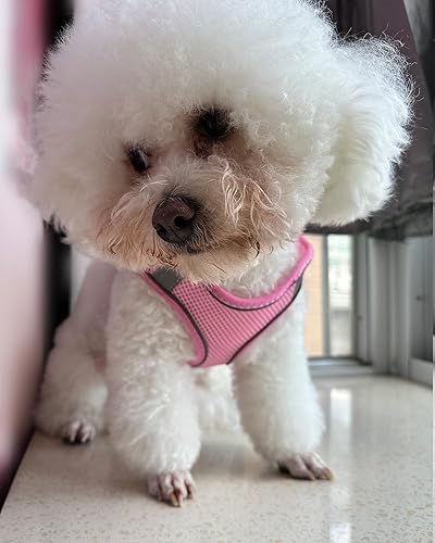 Miniatura 9 de Arnés para perros pequeños y medianos sin tirones, juego de arnés y correa para cachorro, arnés para cachorros para perros pequeños, arnés para