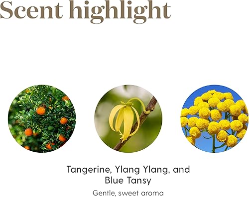 Miniatura 6 de Young Living Peace & Calming Aceite esencial de 0.5 fl oz  Aromaterapia pura y tranquila  Relájate, Relájate, Desenrolla y encuentra la paz interior