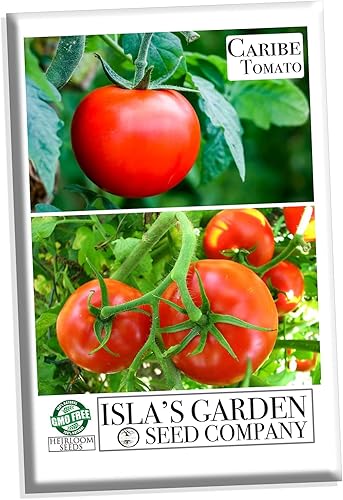 Miniatura 1 de The Caribe Caribbean Semillas de tomate para plantar, más de 100 semillas tradicionales por paquete, semillas de jardín de Isla (semillas de jardín