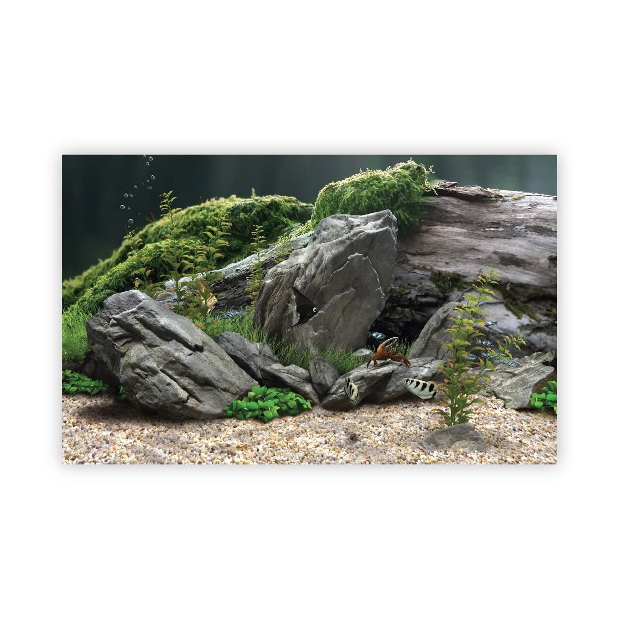 VVWV® Aquirium Background colourfull Stickers Fish Tank Waterproof Vinyl Sticker Multicolored (76 X 30 CMS) (B0BW48N9XR) Amazon Price History, Amazon Price Tracker