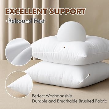 MIULEE 22x22 Pillow Insert, Premium Throw Pillow with Virgin Fiber Filling | Soft and Support, Durable Brushed Fabric, Decorative Pillow for Sofa Bed Couch
