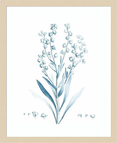 Miniatura 14 de Amanti Art Vision Studio - Lienzo decorativo para pared, 24 x 20 pulgadas, botánico antiguo en azul I por Vision Studio, arte de pared de flores,