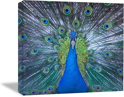 Miniatura 39 de Looife Lienzo decorativo para pared de pavo real, 16 x 32 pulgadas, pájaros verde azulado con flores, decoración de pared para decoración de DW148