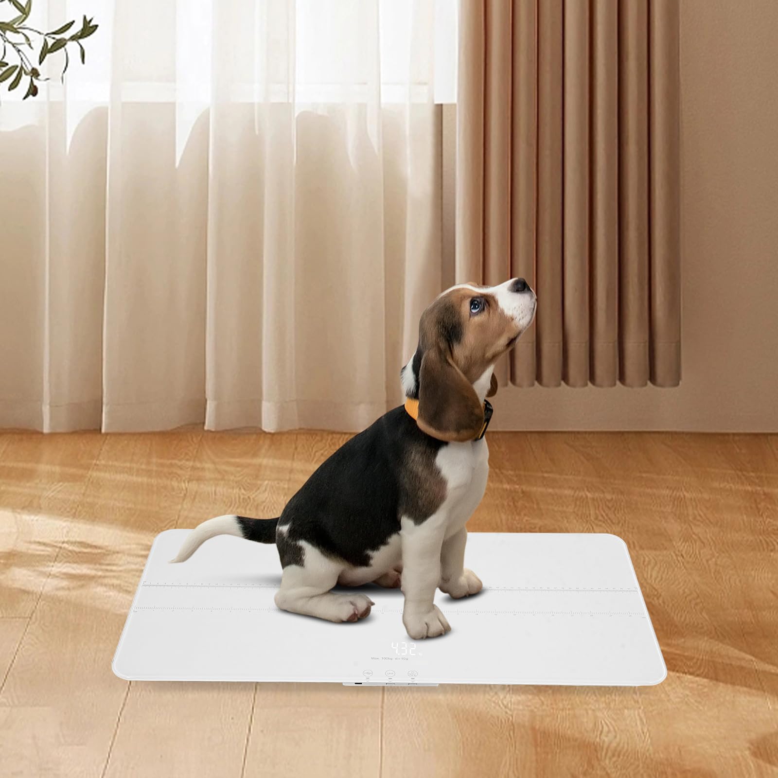 Bilancia digitale per animali domestici grossa e cani di taglia grande, con display a LED, fino a 100 kg, con funzione Tara e conversione dell'unità di peso, bilancia veterinaria per cani e gatti