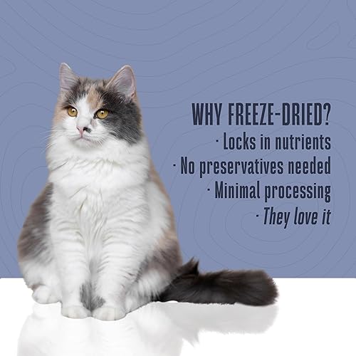 Miniatura 4 de Whole Life Pet Just One Atún  Premio para gatos  Grado humano, liofilizado, un ingrediente, rico en proteínas, sin granos, fabricado en los Estados