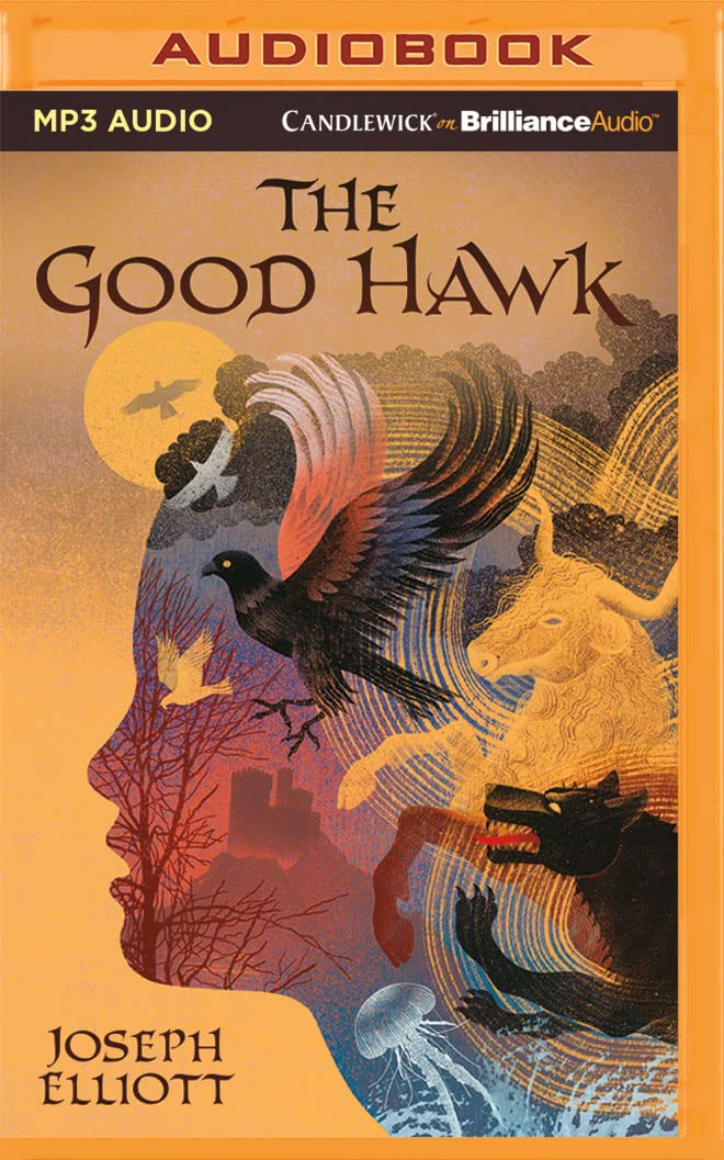 The Good Hawk (Shadow Skye)