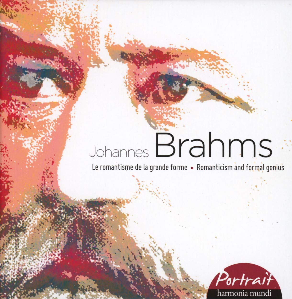 Johannes Brahms - A portrait