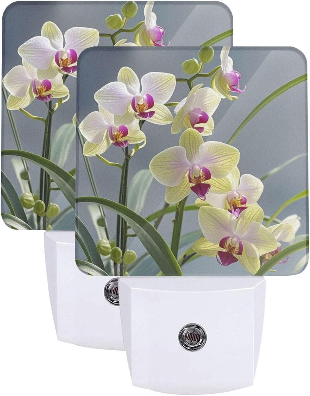2 Pack Colorful Orchids Flower Night Light Plug in Dusk to Dawn Sensor LED Night Lights Plug into Wall Modern Night Lamp with Smart Sensor Automatic Nightlights for Kids Room Bedroom Decor