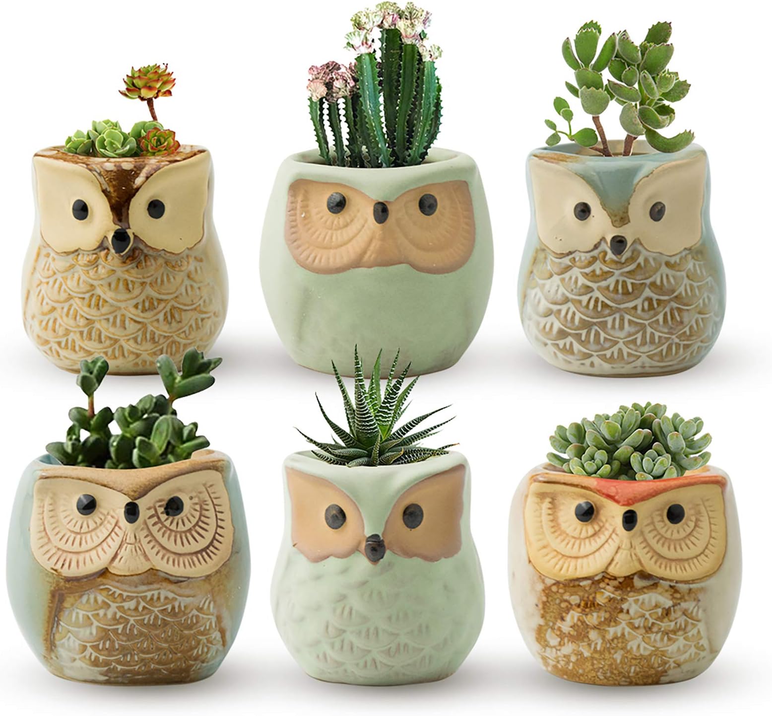 FairyLavie Succulent Pots, 2.5'' Owl Planter Owl Pot, Small Pots for Plants Cute Small Planter with Accessories, Great for Home Decor and Ideal Gift, Set of 6