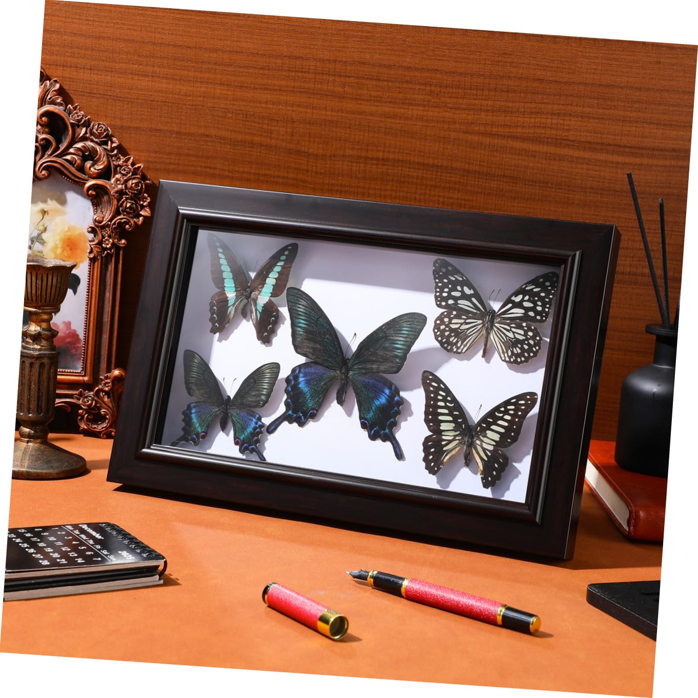 CHILDWEET Marco de Exhibición de Mariposas Diseño Artesanal, Madera Resistente y Tapa Transparente para Decoración de Hogar
