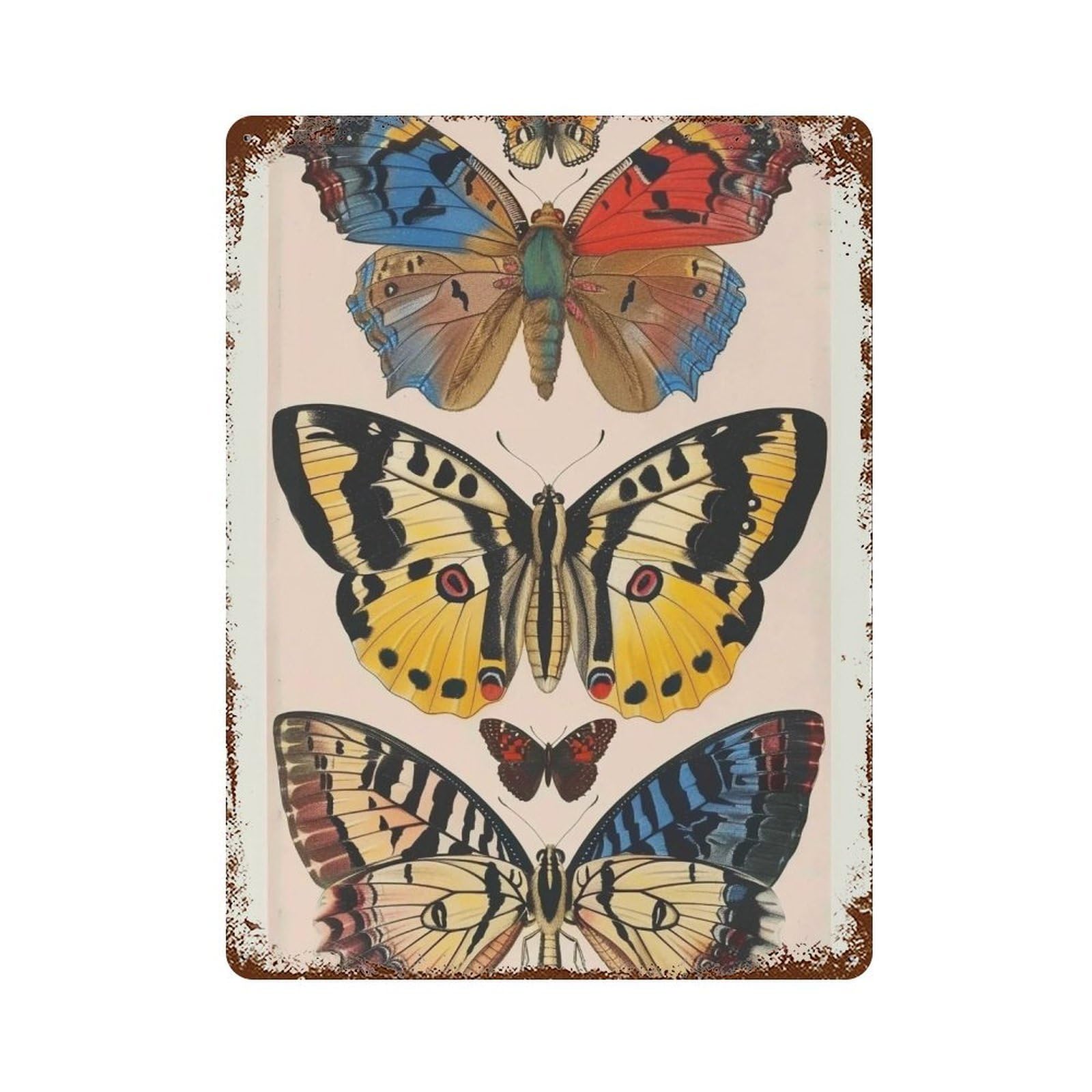 YHGERTKU Butterfly Specimens 01 Wall Art Retro Iron Vintage Metal Tin Sign Poster Modern Decor for Living Rooms Gift 40x30cm