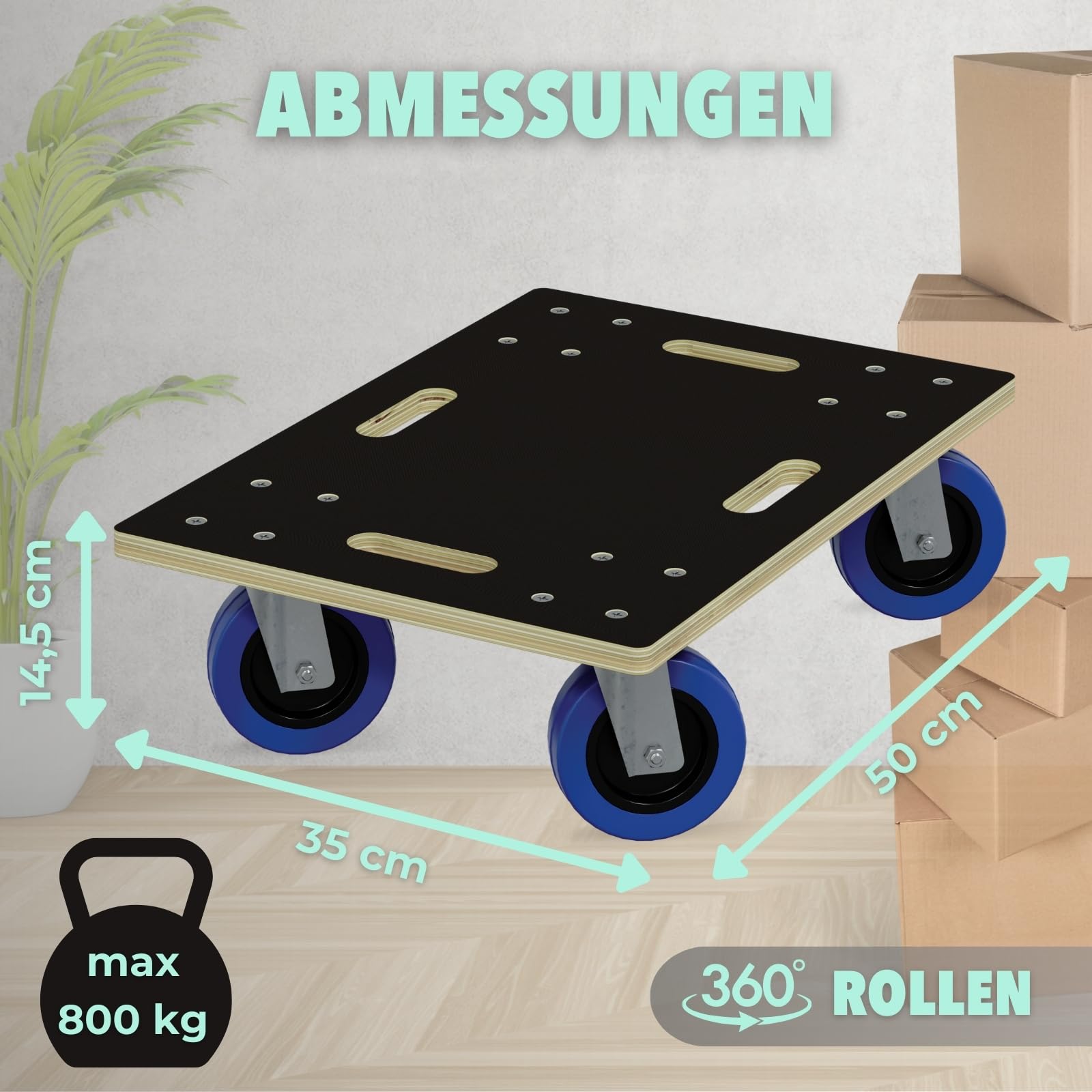 HAGO24 Möbelroller ohne Bremse in 35x50cm I Schwerlast-Rollbrett bis 800kg I Möbel-Transportroller mit Griffmulden I hochwertiger Rollwagen für Umzug I Stabile Transporthilfe mit Rollen
