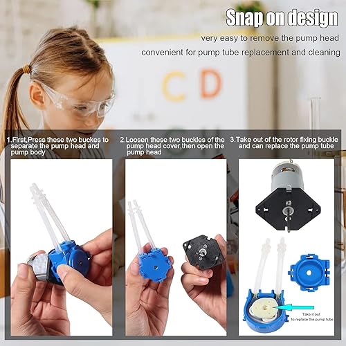 Miniatura 4 de Bomba dosificadora peristáltica de flujo bajo, bomba de dosificación pequeña líquida con conector para acuario de laboratorio analítico, 2 uds, 12