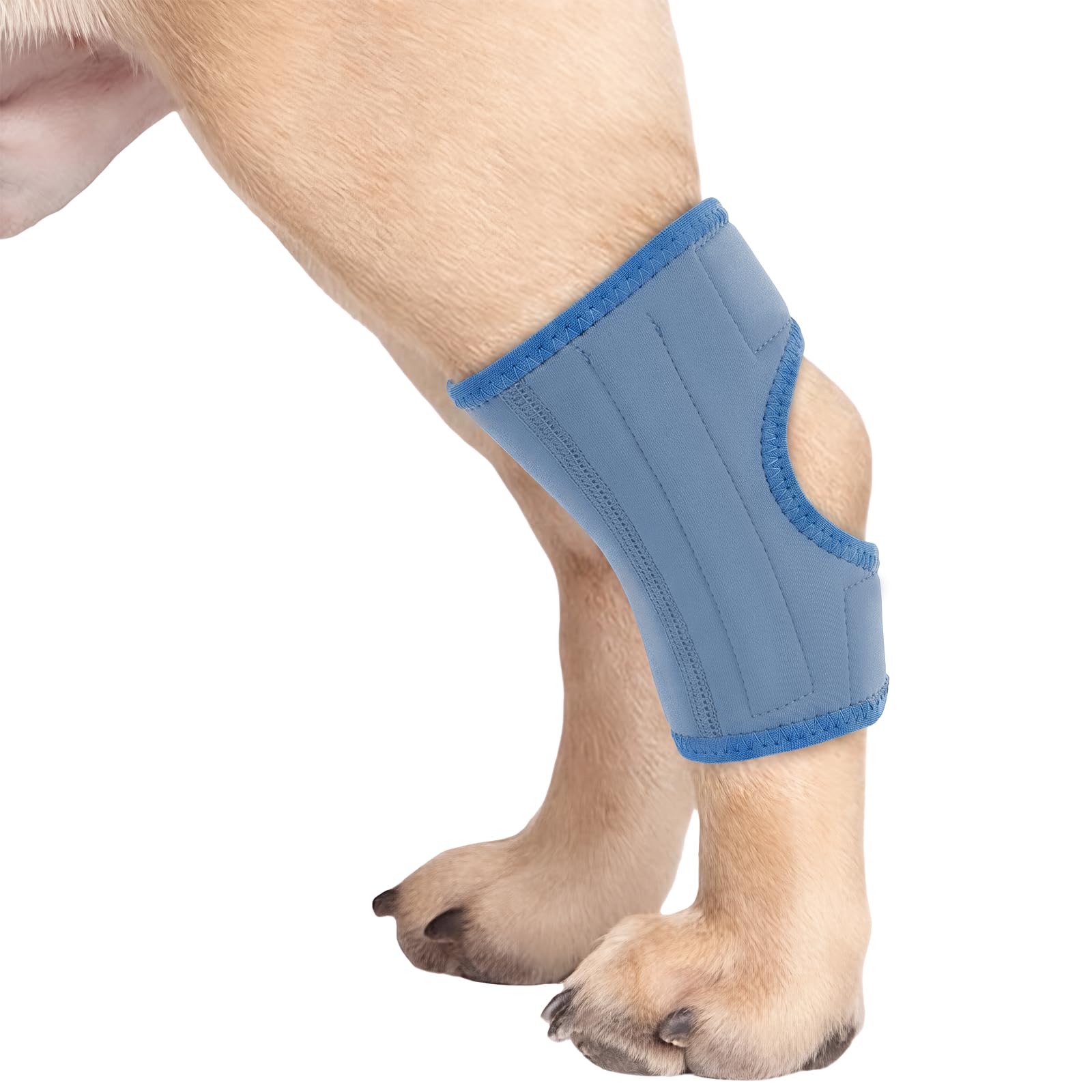 PUMYPOREITY 1Pcs Dog Leg Braces, Hock Joint Brace with Two Support Strips, Dog Hock Splint for Fractures, Wound Healing, Sprains and Canine Arthritis Support Leg Wrist Carpal(Blue, XL)