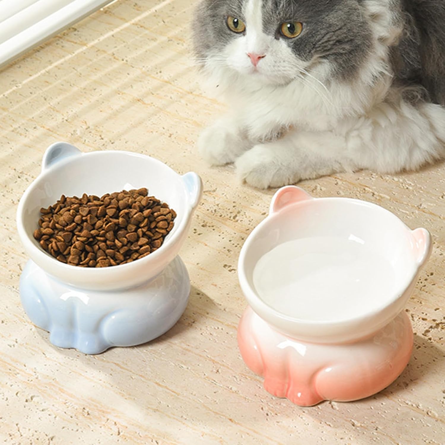 Elevated Ceramic Cat Bowls, 25°Raised Cat Food Bowl, Whisker Friendly Anti Vomiting Cats Dishes, Anti Vomiting & Protect Pet's Spine, Feeder Dish for Indoor Kitty and Small Dogs (Gradient Colors)