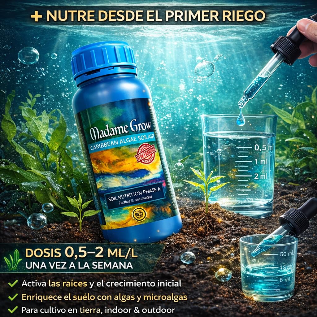 MADAME GROW Fertilizantes alga marihuana - abono floración marihuana - cogollador marihuana - fertilizante floración marihuana - fertilizante marihuana - liquido - engordar (CARIBBEAN ALGAE 5L)