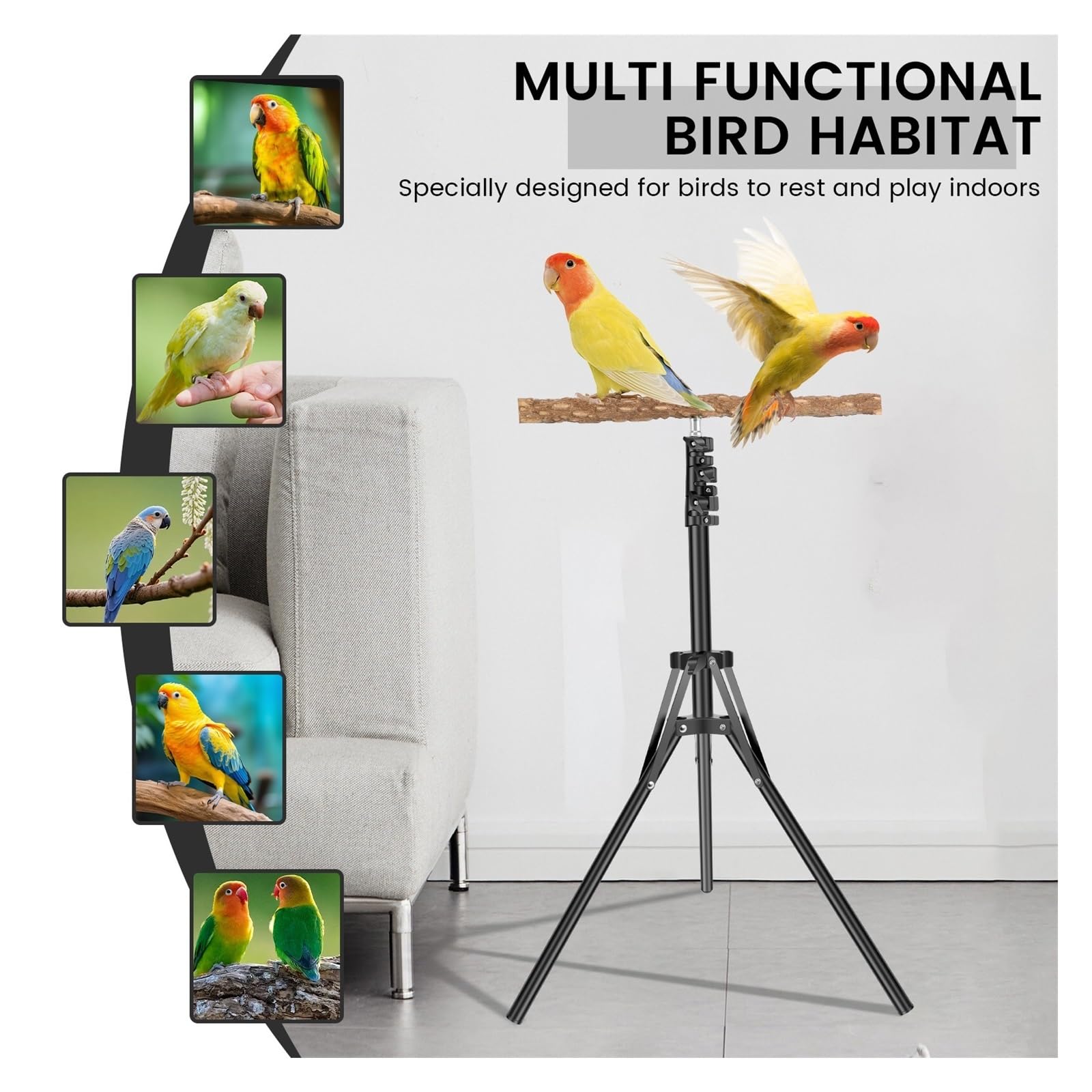 Posadero para Loros Percha de Madera Plegable y Ajustable en Altura for pájaros, Ideal for el Entrenamiento Loros Otras Aves. Juguete portátil for Exteriores