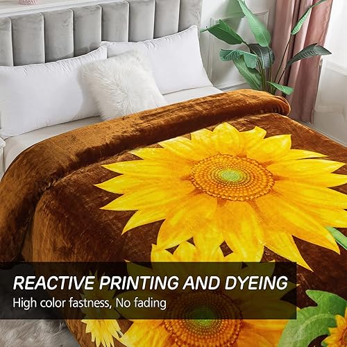 Miniatura 4 de JYK Manta de forro polar de felpa, tamaño Queen, 91 x 75 pulgadas, 1 capa, 3.7 libras, suave, de visón coreano, cálida, ligera, para otoño e