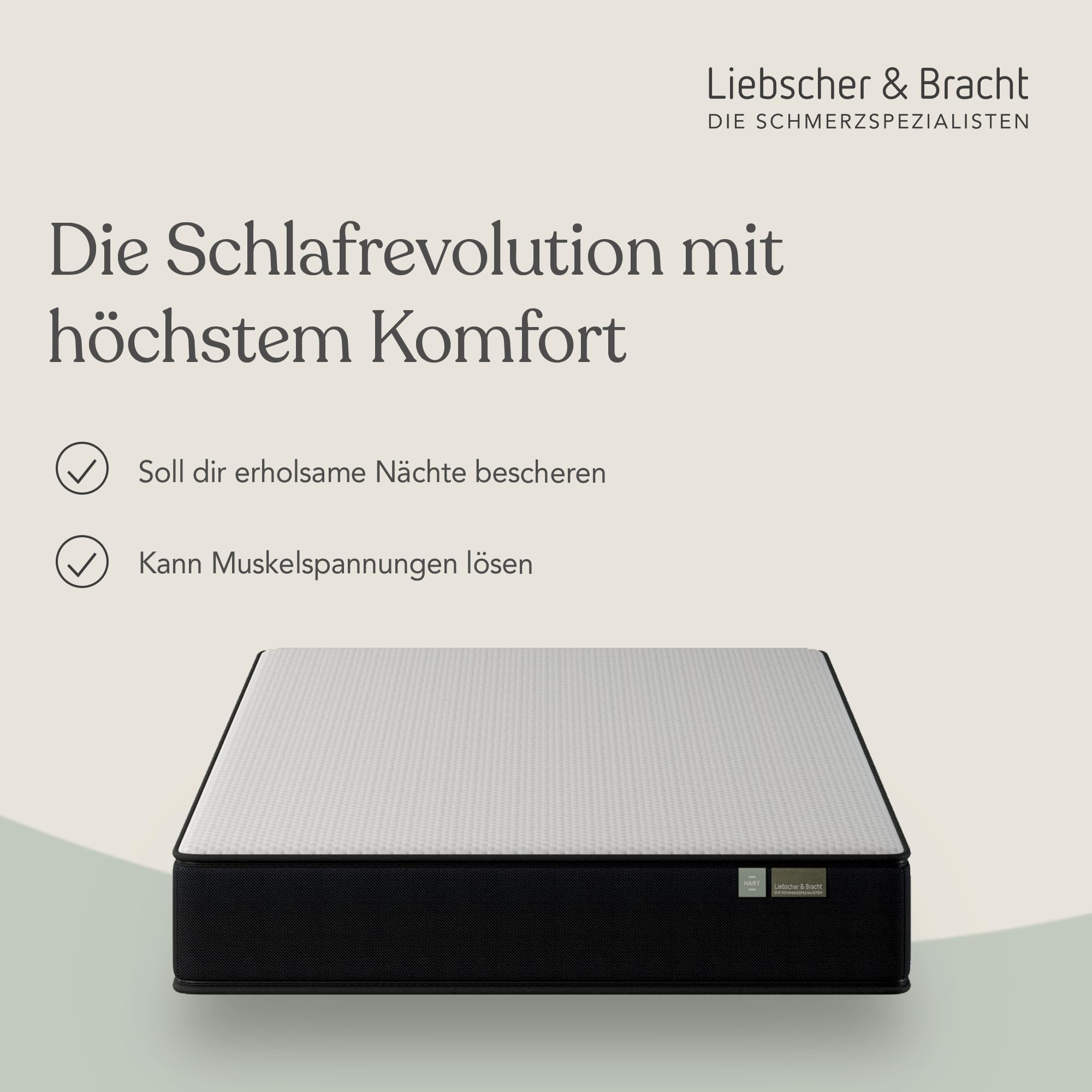 Liebscher & Bracht - Matratze 90x200 cm wendbar mit Stützregion für Wirbelsäule & Hüftgelenke - Komfortable 7-Zonen Kaltschaummatratze - Perfekte Druckentlastung & Passive Muskeldehnung im Schlaf