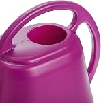 Fasmov Canette d'arrosage en plastique, Rose Rouge, 1-Gallon