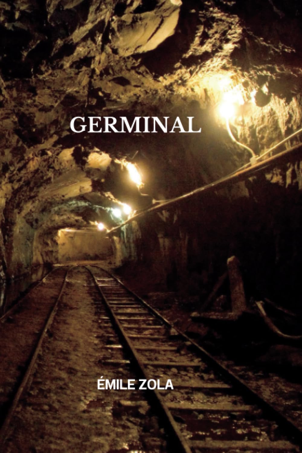 Germinal Par Émile Zola: ( French Edition)