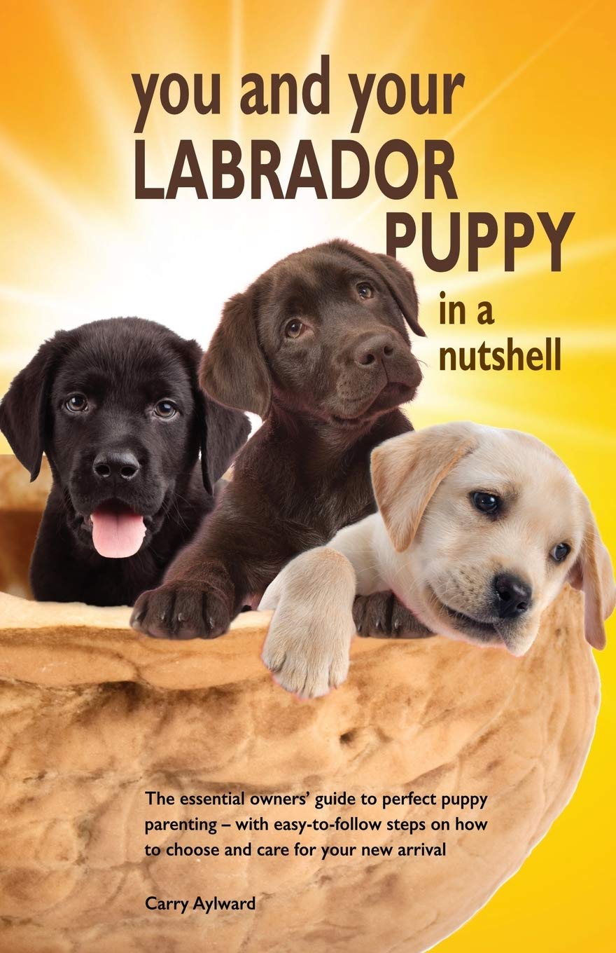 You and Your Labrador Puppy in a Nutshell: The essential owners' guide to perfect puppy parenting - with easy-to-follow steps on how to choose and ... arrival (You and Your Puppy in a Nutshell)