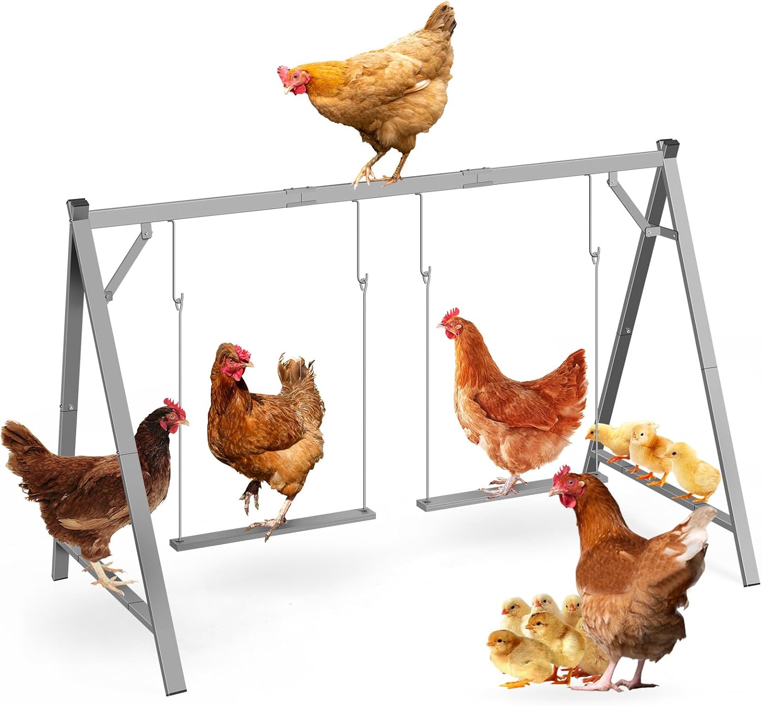 Tuenort Chicken Perches with Swing - Durable Roosting Bars & Enrichment Toys for Coop Chickens, Ducks, Parrots