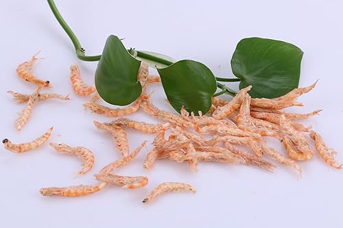 Miniatura 9 de toyuto Mezcla de krill y camarones liofilizada de primera calidad, ideal para Arowana, Koi, cíclidos tropicales y tortugas, alimento flotante de