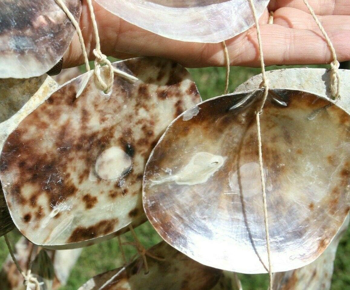 Handmade Seashell Gifts for Dad Seashell/Saddle Oysters Windchime, 22" G-66