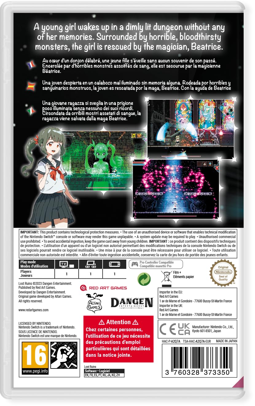 Lost Ruins (Nintendo Switch) : Amazon.co.uk: PC & Video Games