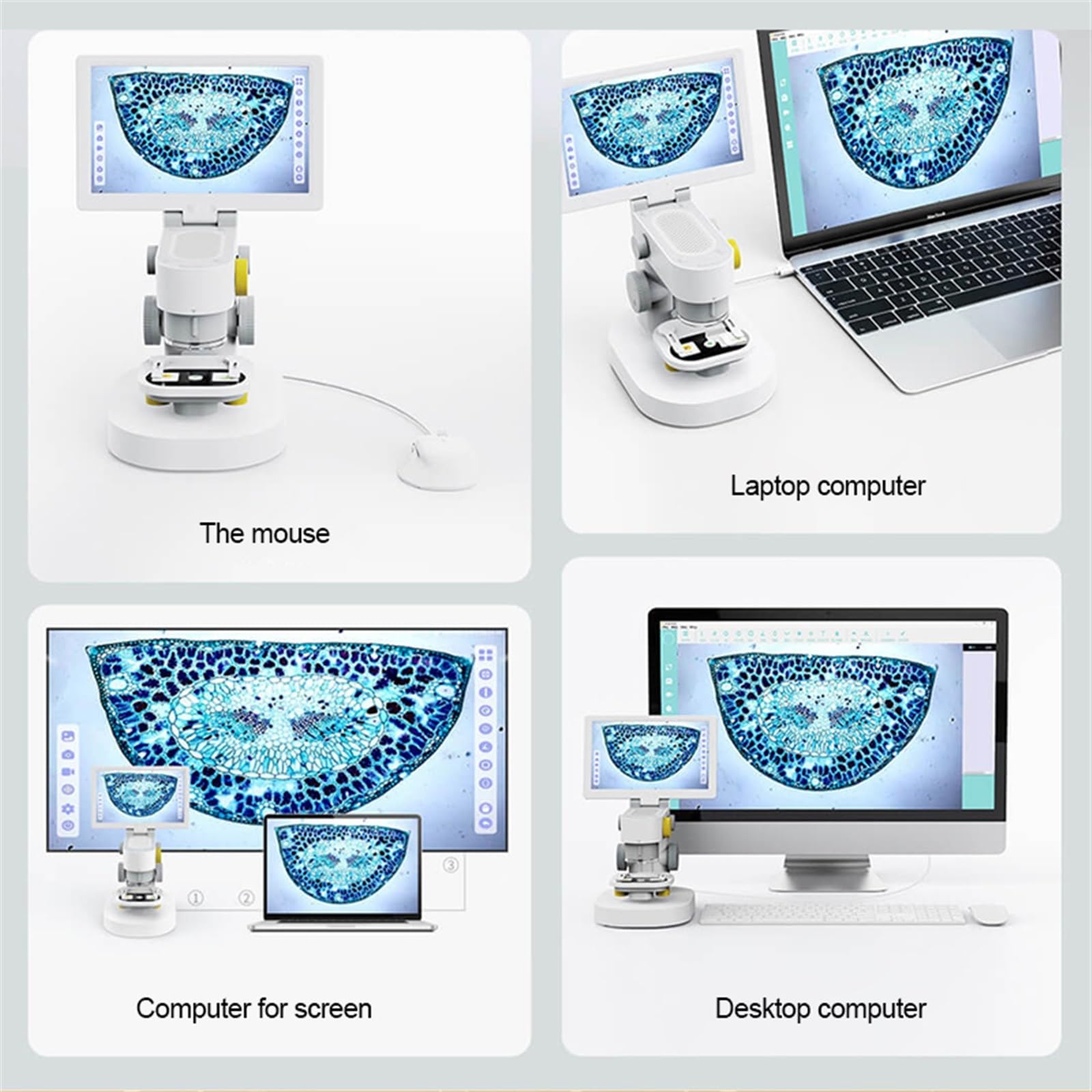 Microscopi Microscopio biologico digitale HD da 9 pollici Microscopio di ricarica USB 5MP 1080P 100-1200X Touch Screen for ispezione scientifica degli studenti