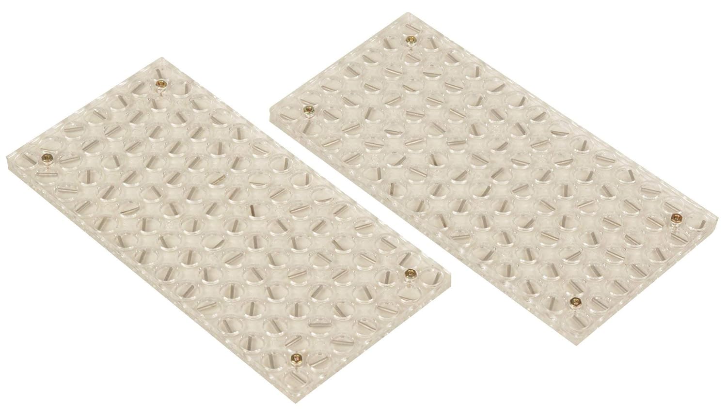 Eisco Labs Magnetic Field Demonstrator - Set of 2 Plates