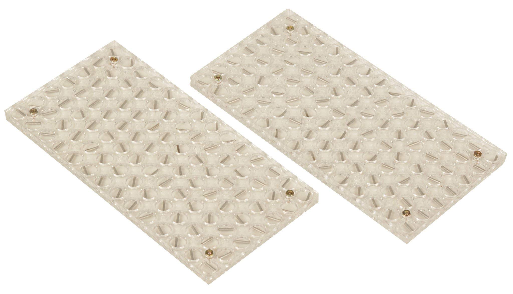 Eisco Labs Magnetic Field Demonstrator - Set of 2 Plates
