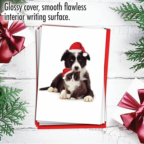 Miniatura 5 de The Best Card Company - 12 tarjetas de Navidad para perros en caja (1 diseño, 12 tarjetas) - Lindos perros cachorros, juego de tarjetas a granel con