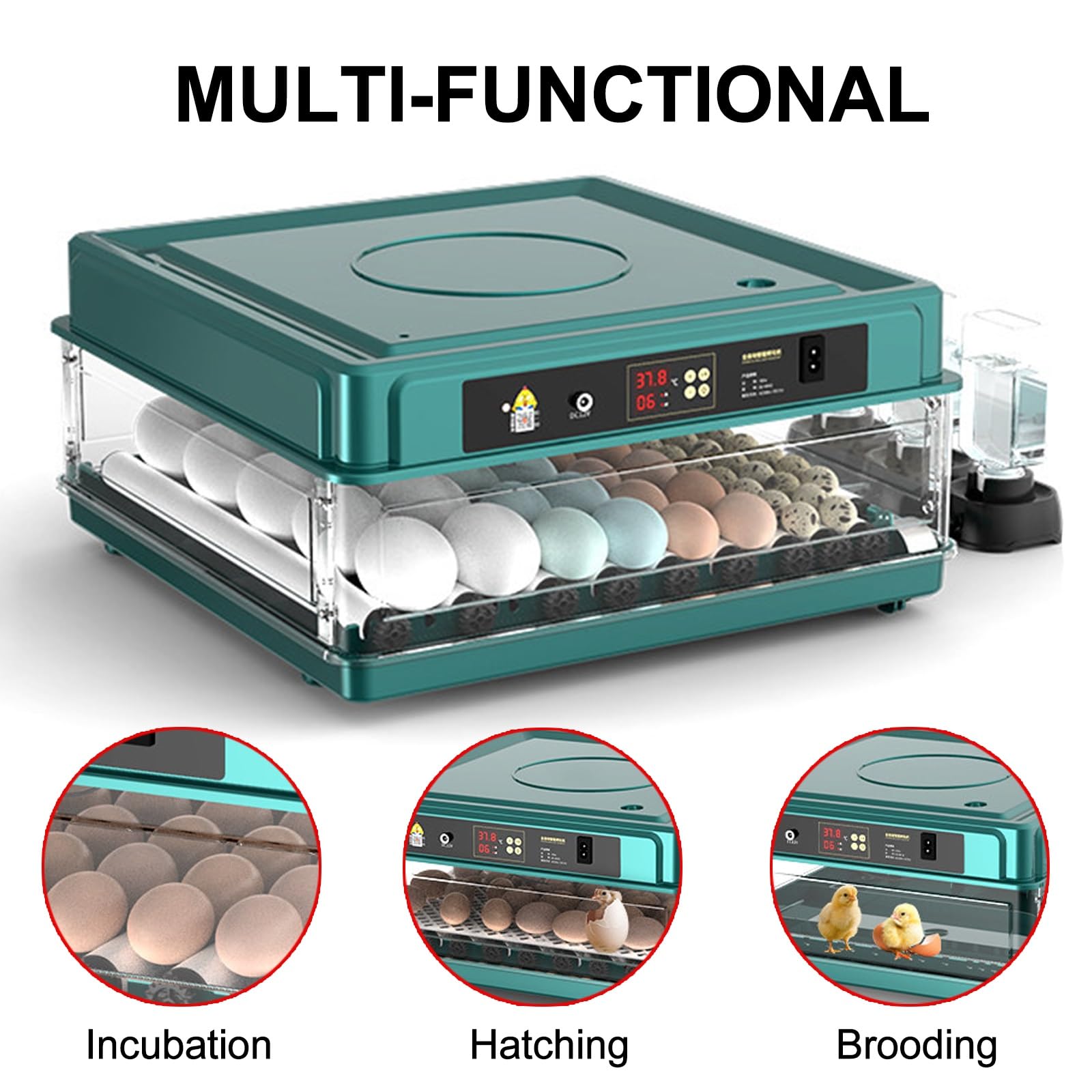 Incubadora de Huevos de Gallina, con Volteador Automático, Ovoscopio y Control de Temperatura, for Incubar Huevos de Gallina, Codorniz(36pieces)