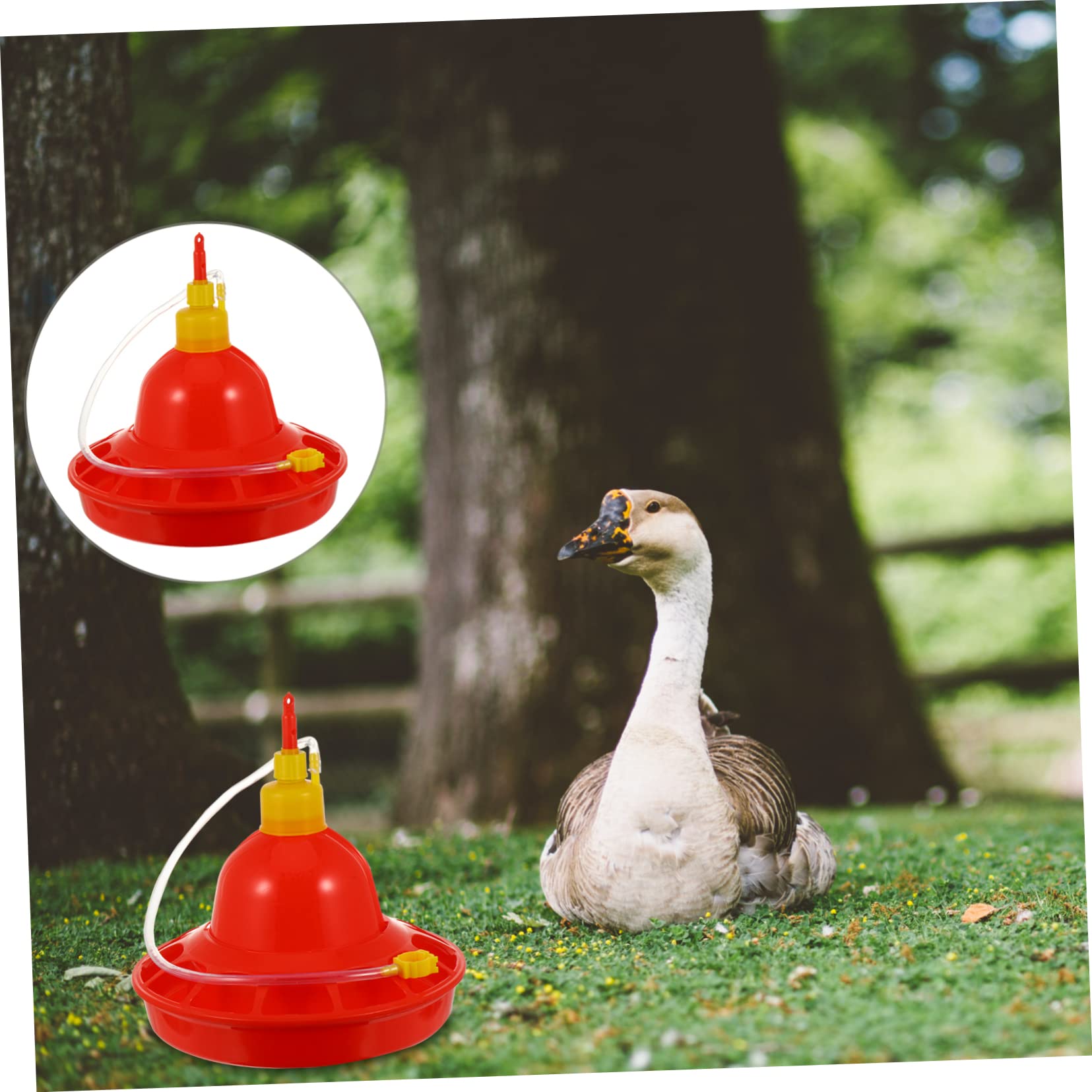 HANABASS Abbeveratoio Automatico per Pollame e Galline in Plastica Rossa, Erogazione Costante Dell'acqua, Resistente al Calore, per Uso Esterno e Domestico