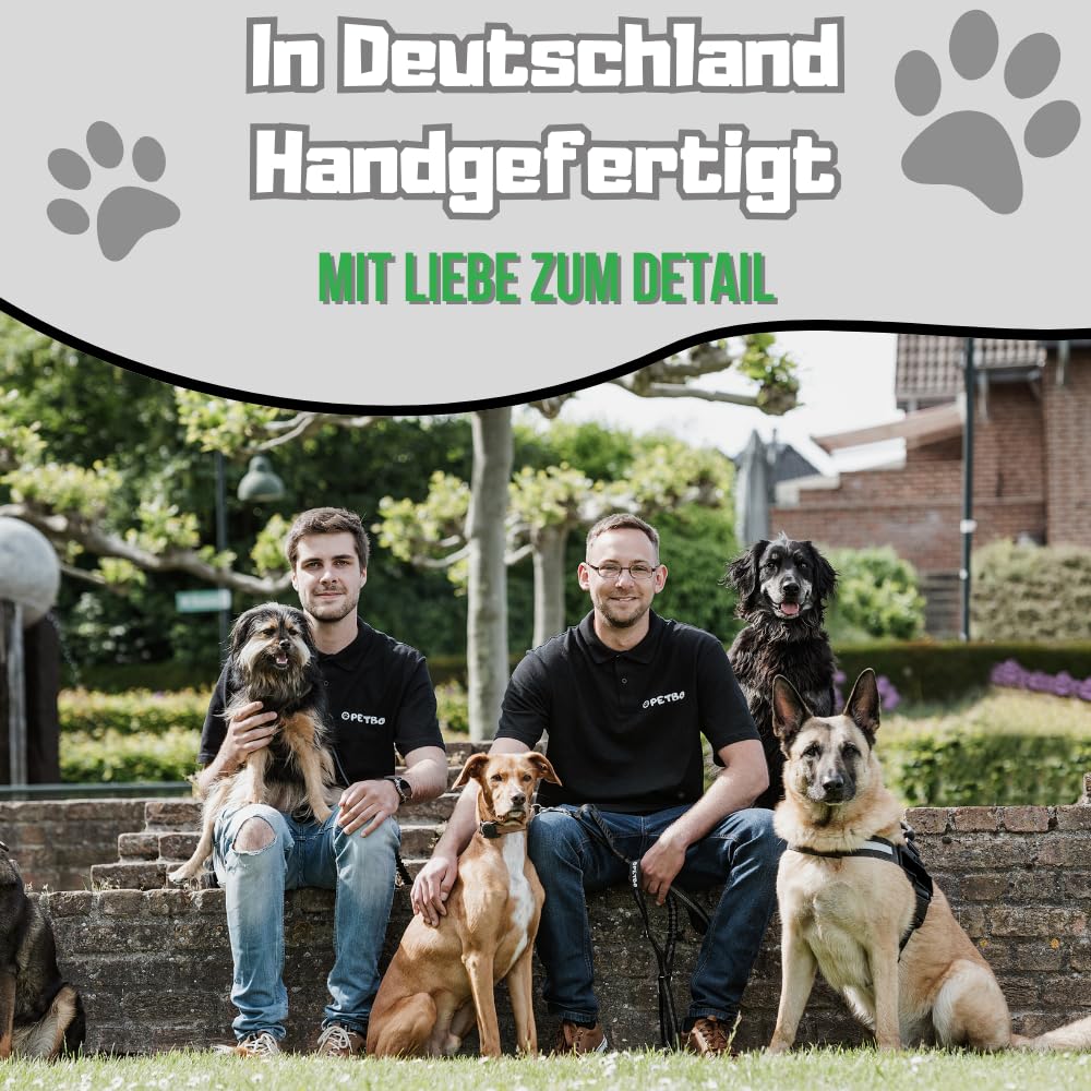 2m Führleine verstellbar (1m / 1,25m / 1,7m) | 19mm Breite für alle Hundegrößen | weich + leicht zu säubern | Verstellbare Hundeleine bis 2 Meter Länge (Schwarz - Gurtband)