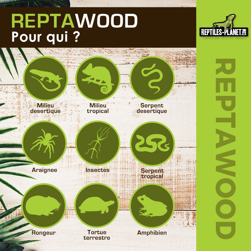 Reptiles Planet - Reptawood - Substrato Naturale per Terrario - Luminosità di Faggio - 18 Litri
